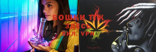 прущие грибы Михайлов
