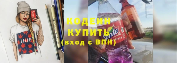 прущие грибы Михайлов