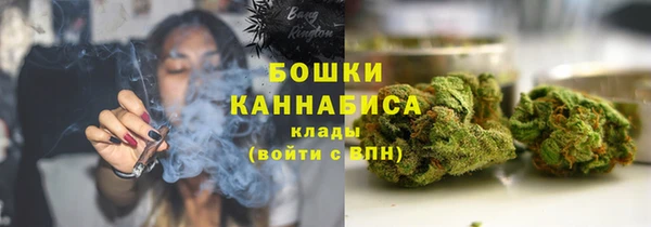 крисы Наволоки