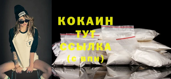 прущие грибы Михайлов