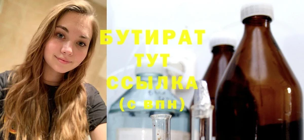 прущие грибы Михайлов
