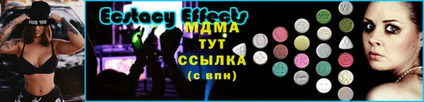 прущие грибы Михайлов