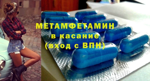 прущие грибы Михайлов