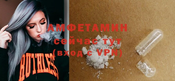 прущие грибы Михайлов