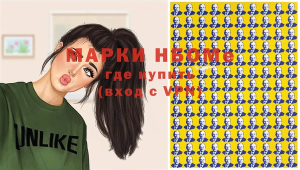 прущие грибы Михайлов