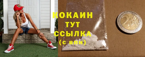 прущие грибы Михайлов