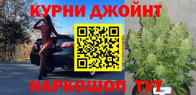 прущие грибы Ипатово