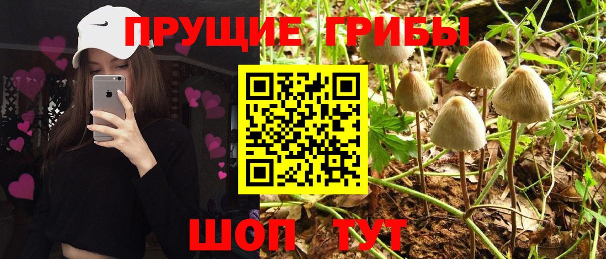 Галлюциногенные грибы Cubensis Нижневартовск
