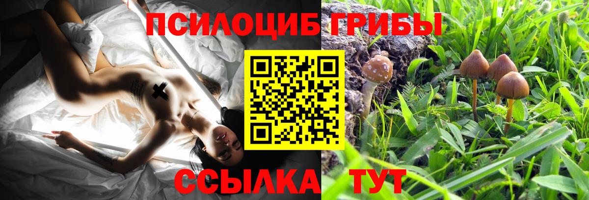 Псилоцибиновые грибы Psilocybe  Вход с VPN  Нижневартовск  Псилоцибиновые грибы мухоморы 
