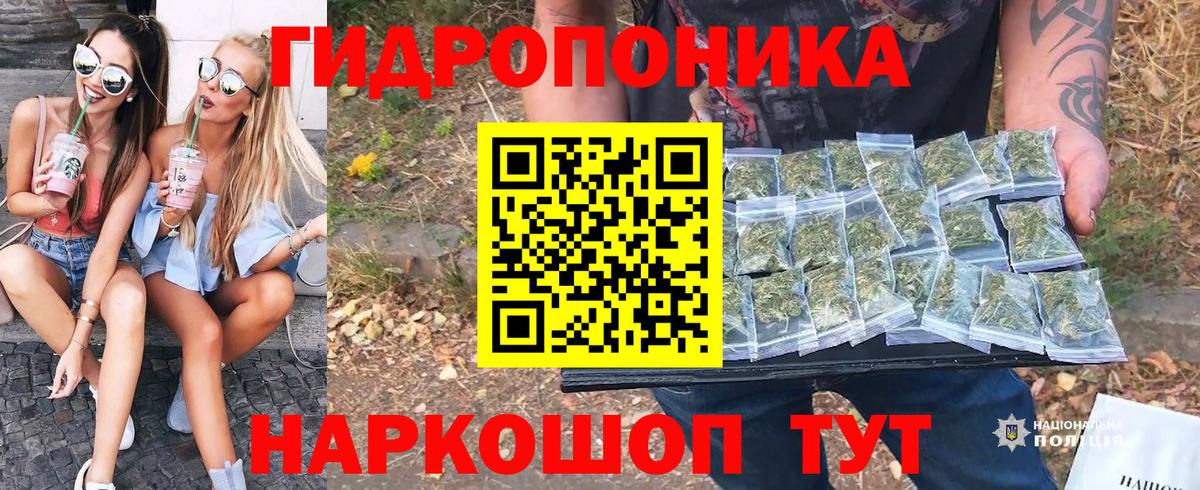 Бошки марихуана гибрид  Канабис планчик  Конопля план  Бошки марихуана гибрид  Вход с VPN  Нижневартовск 